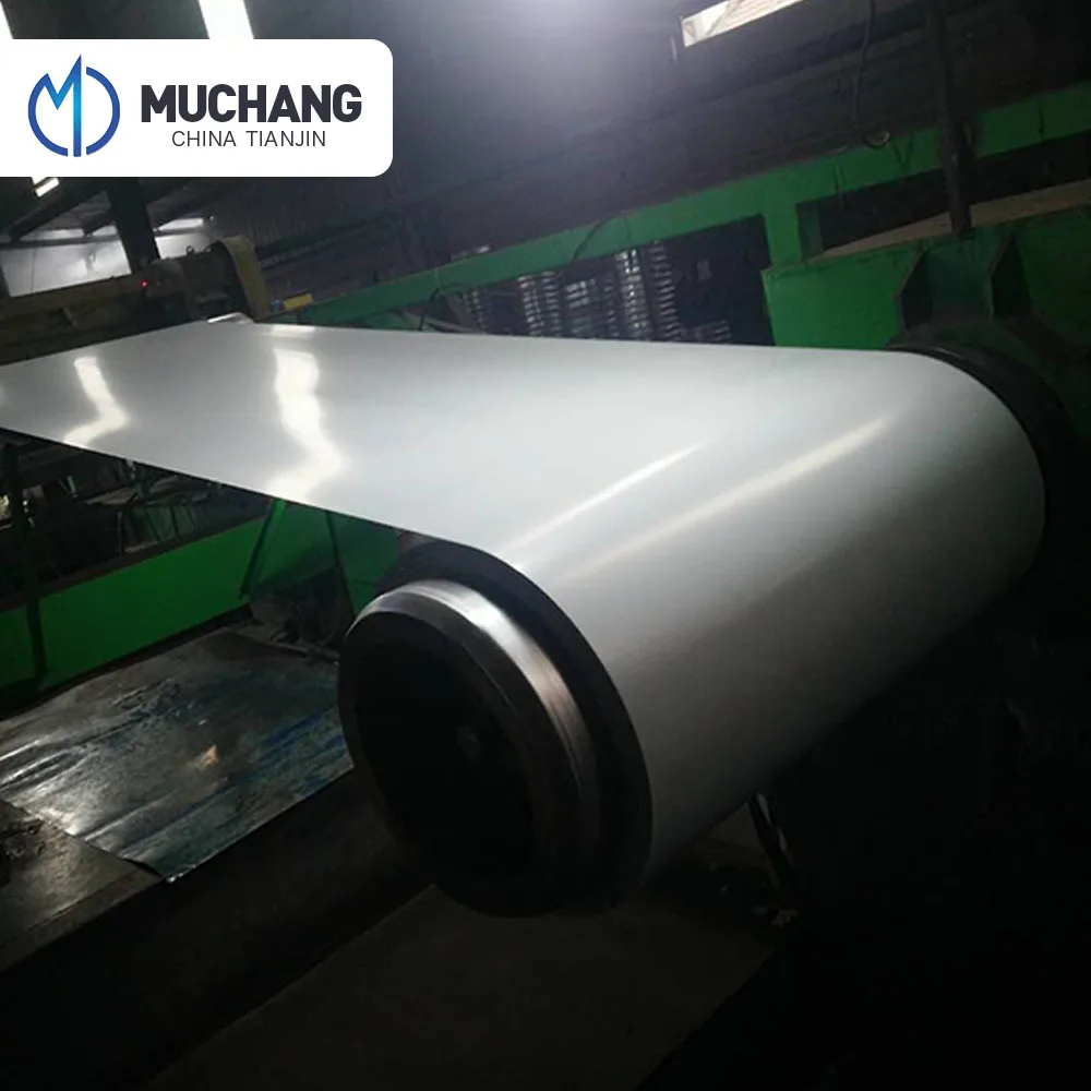 полимерний листы рулон по ГОСТ стандарт из Китая