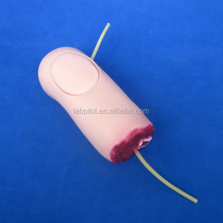 Advanced Upper Limb Trauma Haemorrhage and Amputated Arm Model