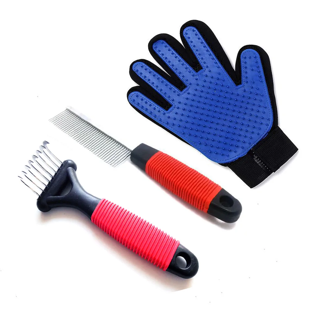 dog grooming starter kit