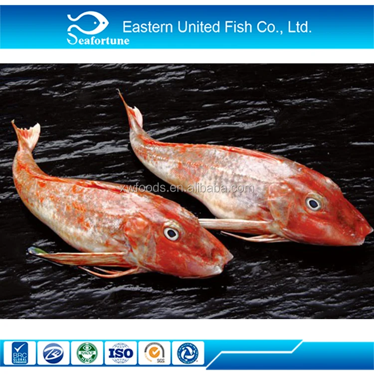レッドガーナード魚中国工場サプライヤー各種種類 Buy 赤gurnard魚 赤gurnard 冷凍赤gurnard Product On Alibaba Com