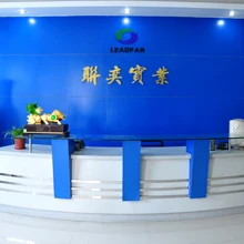 Shenzhen Leadfar Industry Co., Ltd. 2