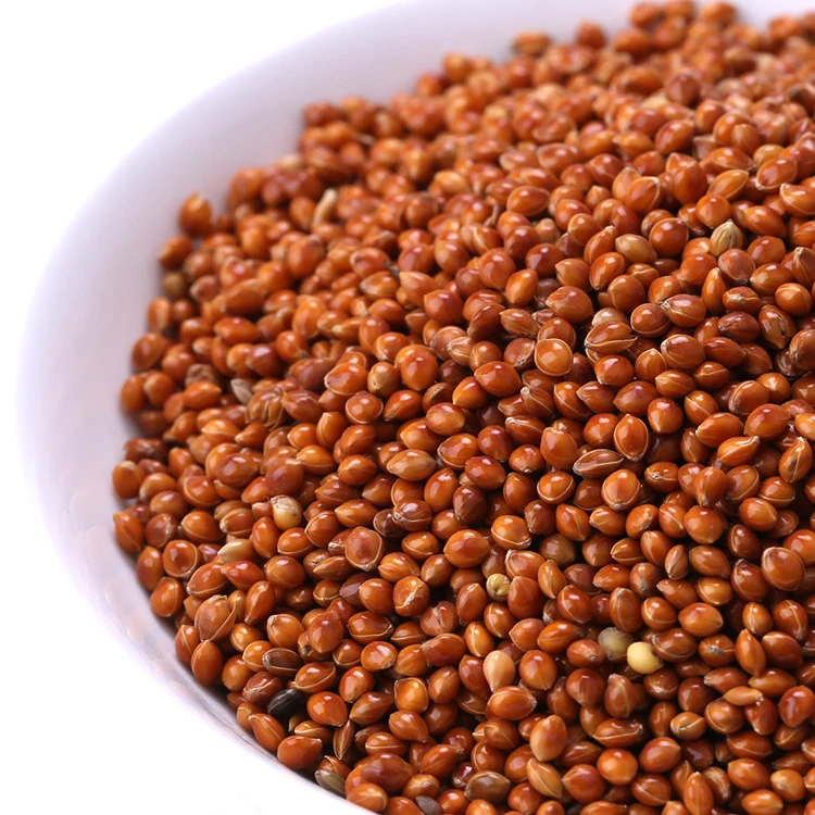 Новый Урожай Красного/белого/желтого клейкого бромкуруза лисий хвост пса для семян птиц