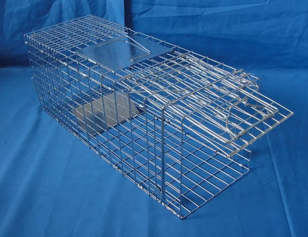 24x7x7 Galvanise Vivre Cage Piege Pour Animaux Pour Chat Lapin Ecureuil Fouine Rats Skunk Catch Liberation Humaine Buy Galvanise Vivre Cage Piege Pour Animaux Pour Ecureuil Galvanise Vivre Cage Piege