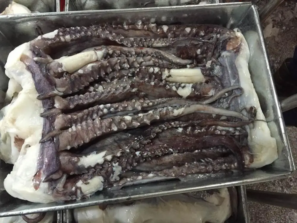 Frozen Giant Squid Clean Tentacle - Buy Frozen Giant Squid giant Squid