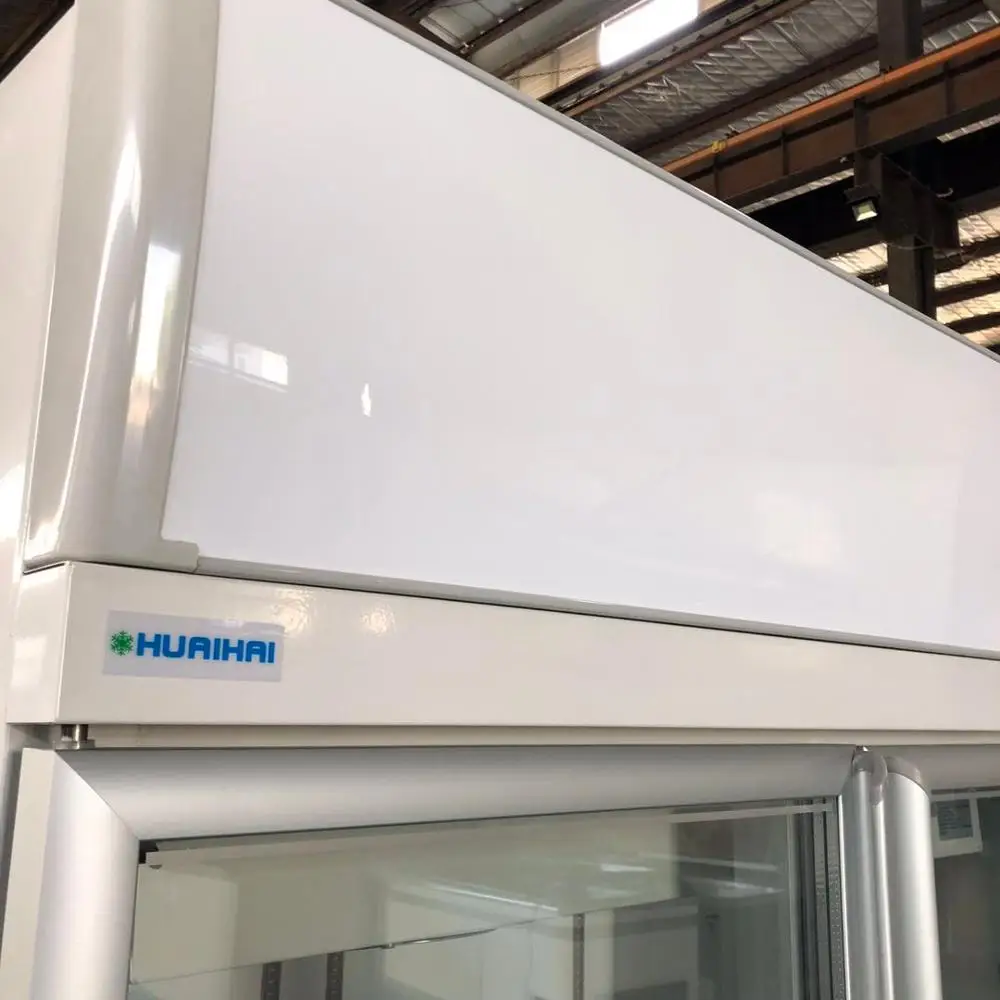 透明ガラス扉の業務用冷蔵庫 花冷蔵庫 220V-240Vの価格