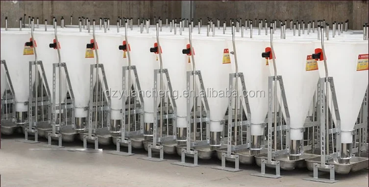 Automatic Dry Wet Pig Feeder Pig Feeding Through Automatic Pig Feeder 80kg 100kg 120kg Trough