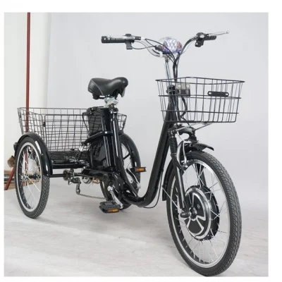 bicycle for adults
