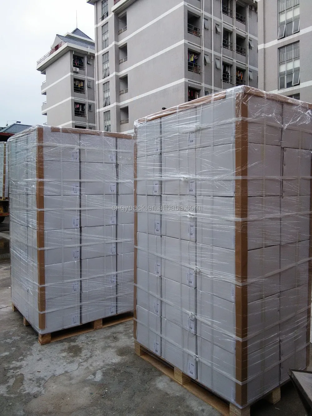 Polyester Woven Strap Factory From Dongguan China