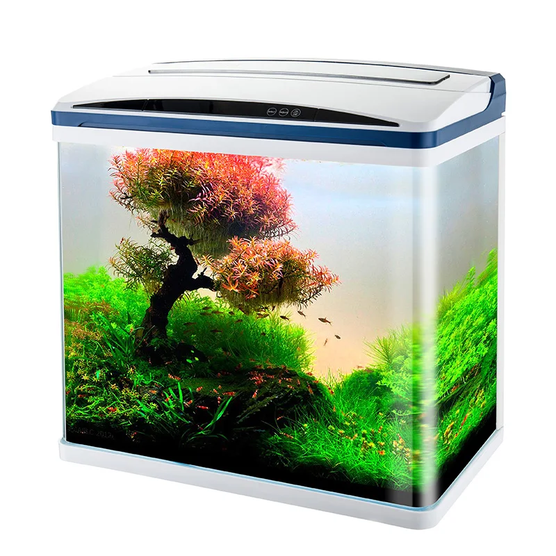 Duplicaat software leveren Shanda New Design Aquarium Clear Glass Aquarium Fish Tank With Led Light  Touch Switch 40 60 80 100cm Tank - Buy Clear Glass Aquarium Fish Tank,Fish  Tank With Led Light,Smart Multi-functional Fish