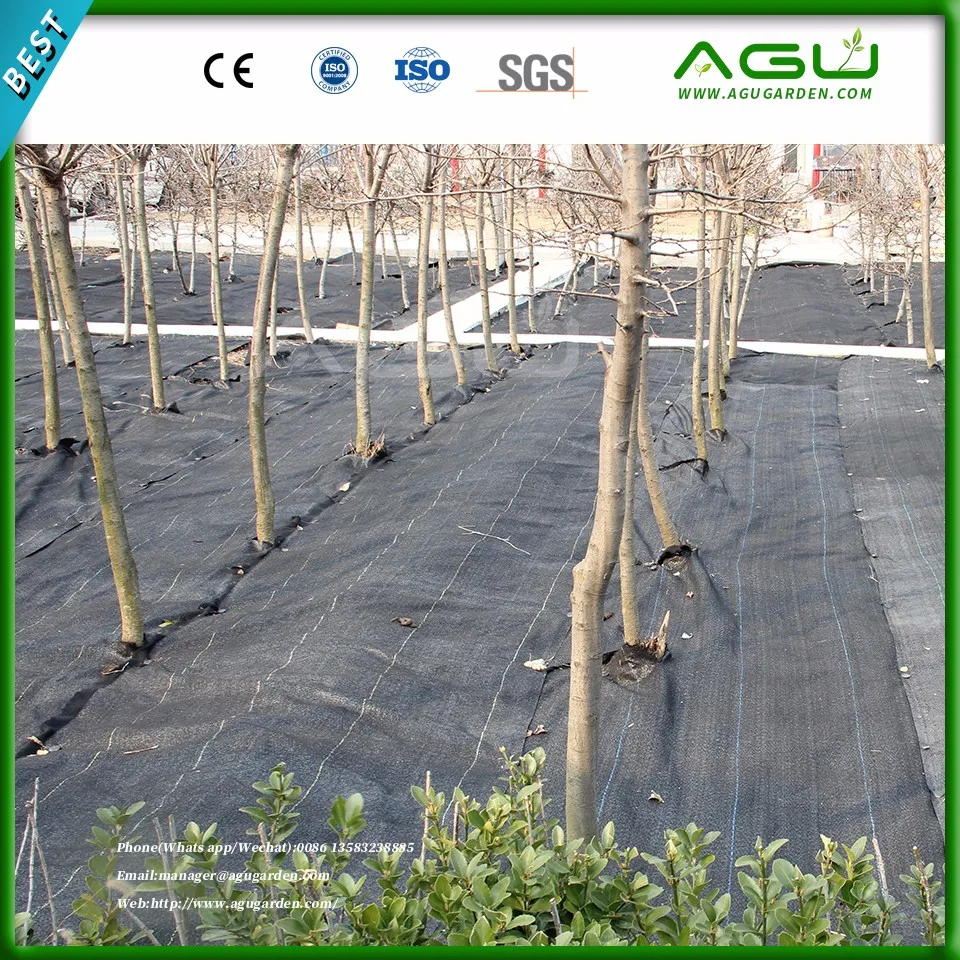 thumbnail image 2 of Plant Film Perforated Mulch Anti-grass Home Garden PE 2 of 9