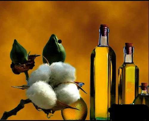 machine - buy cotton seed oil extraction machine,cottonseeds oil