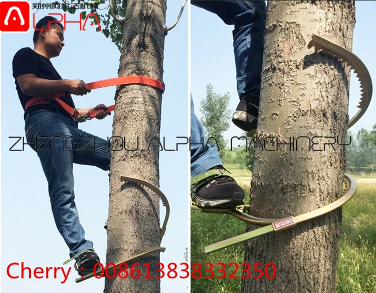 Coconut Tree Climbing Machine Coconut Tree Climbing Device for Sale China