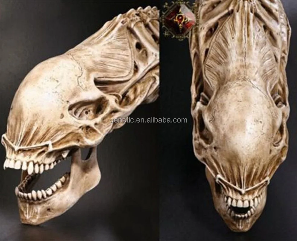 xenomorph skull replica