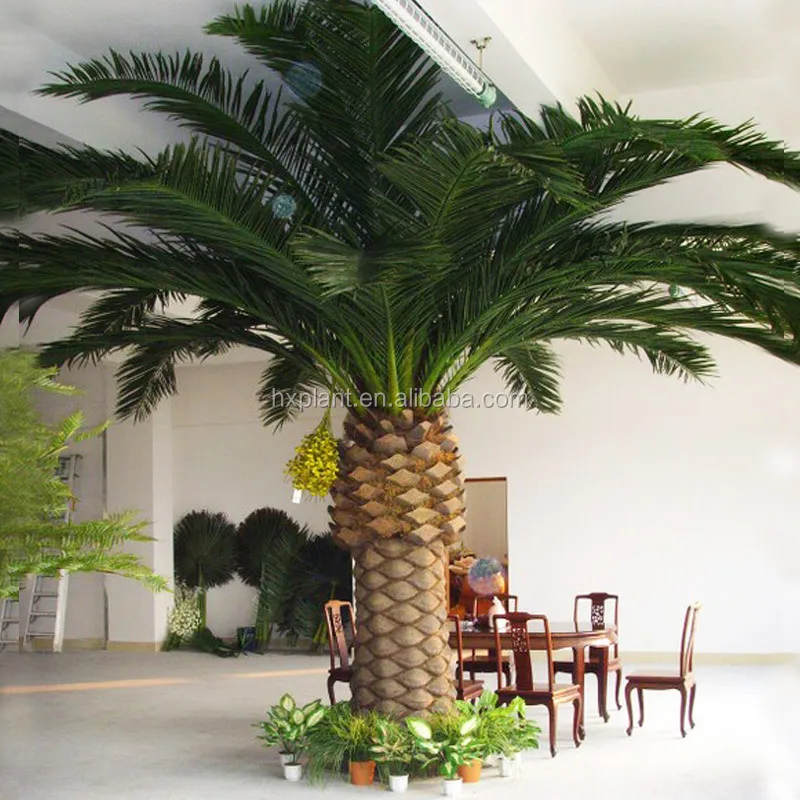 planting bolsas lowes