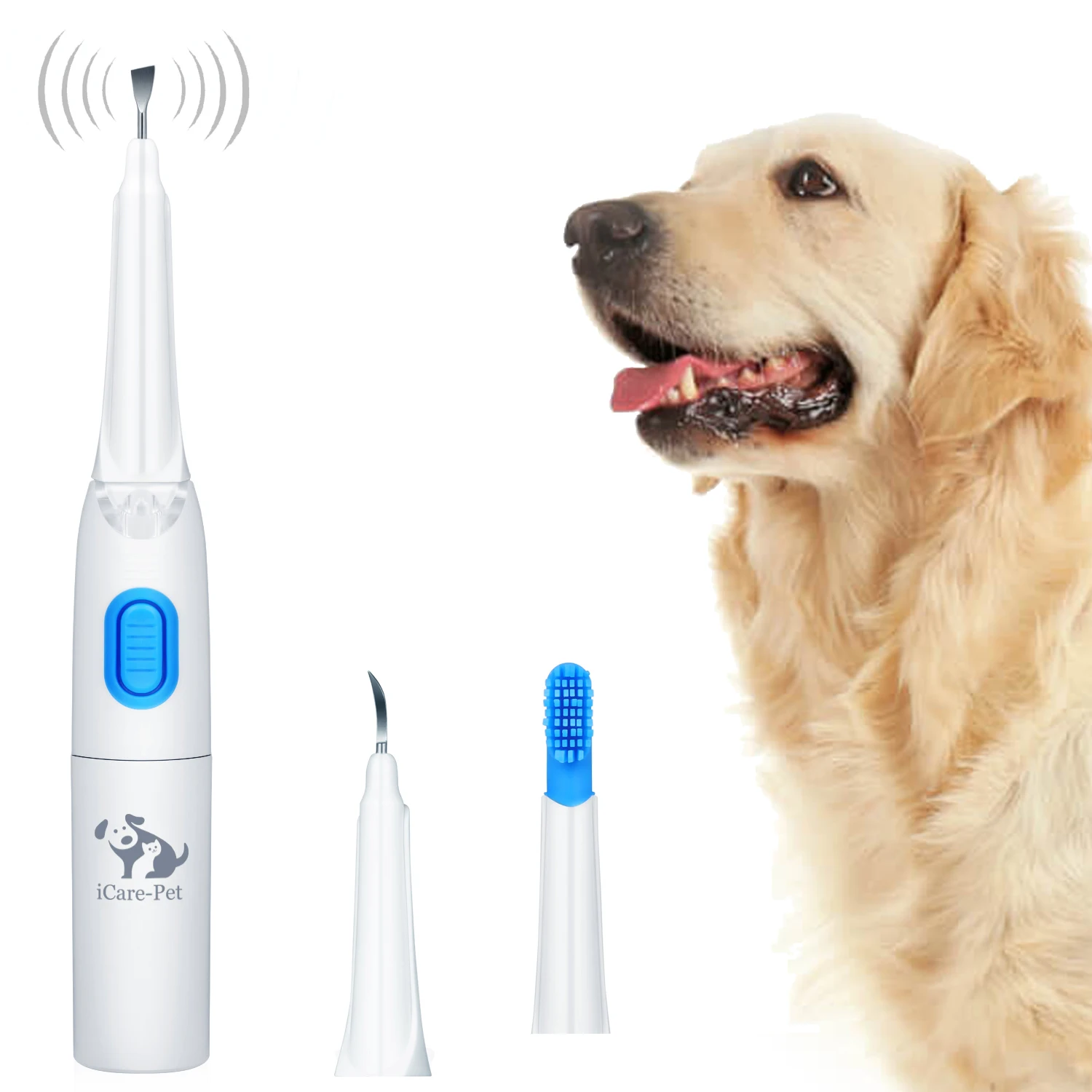 dog tooth brushing stick