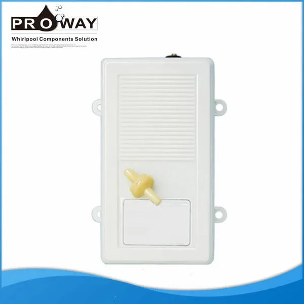 Generatore di ozono per vasca a immersione fredda, generatore di ozono da 1000 mg/h per mantenere il bagno di ghiaccio o vasca idromassaggio pulita, accessori per bagno di ghiaccio