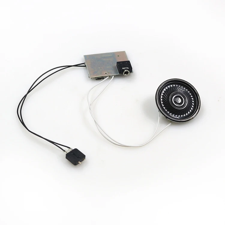 Оптовая продажа с фабрики индивидуальный голосовой модуль для игрушек пользовательскими