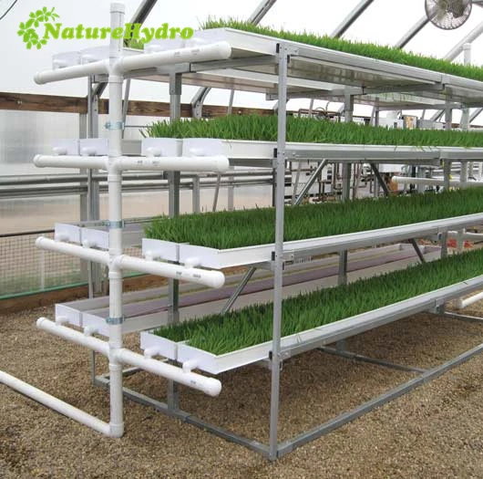 Pvc Hydroponics Tray for Hydroponic Animal Fodder