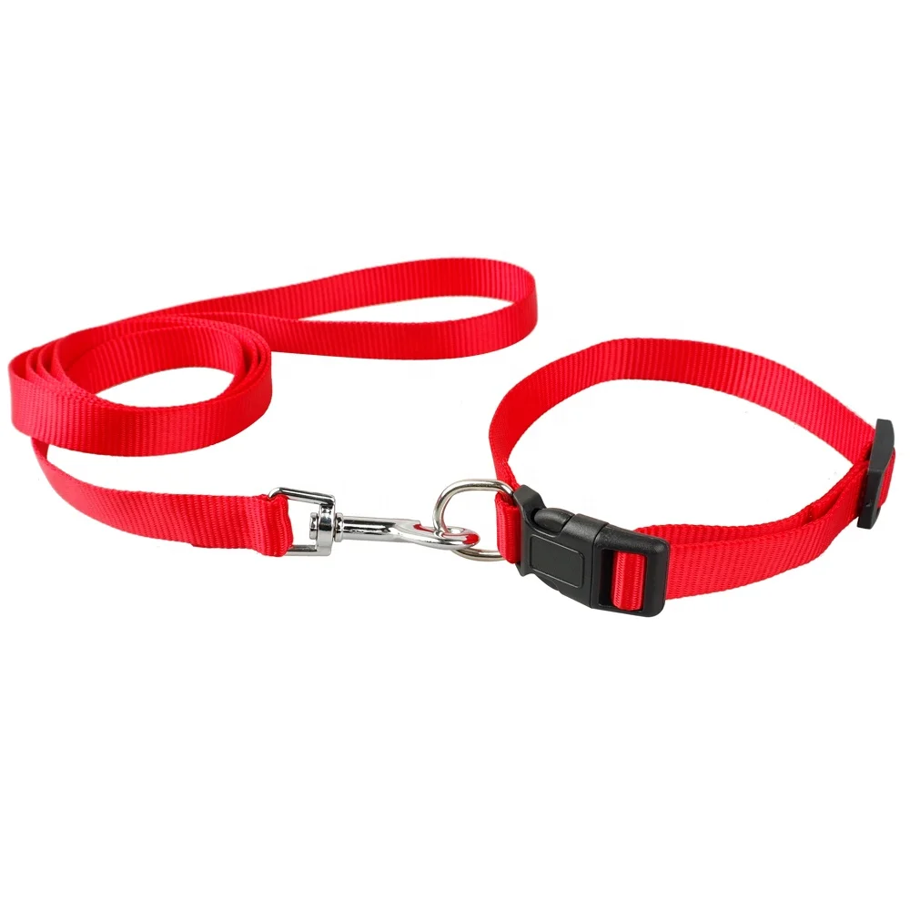 nylon puppy collar and lead