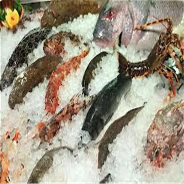 frozen fishes
