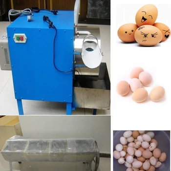 Electric Egg washing machine chicken duck goose egg washer egg cleaner wash  machine 4000 pcs/h poultry farm equipment - AliExpress