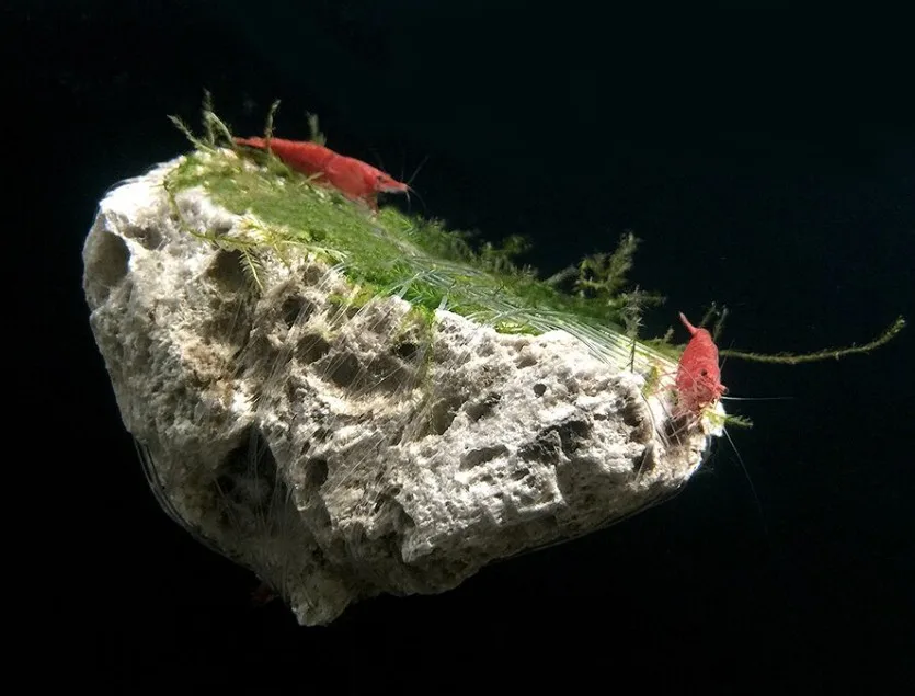 火山溶岩石チップ白い火山軽石| Alibaba.com