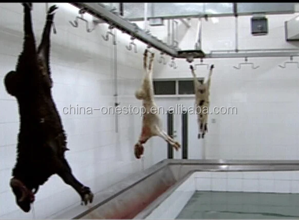 Modern sheep and goat slaughterhouses for large capacity slaughterhouse equipment
