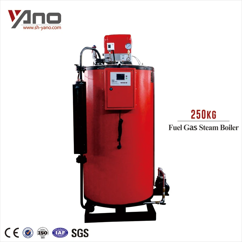 Environmental Protection Compact Structure Industrial 50kg Italian Gas Combi Boiler