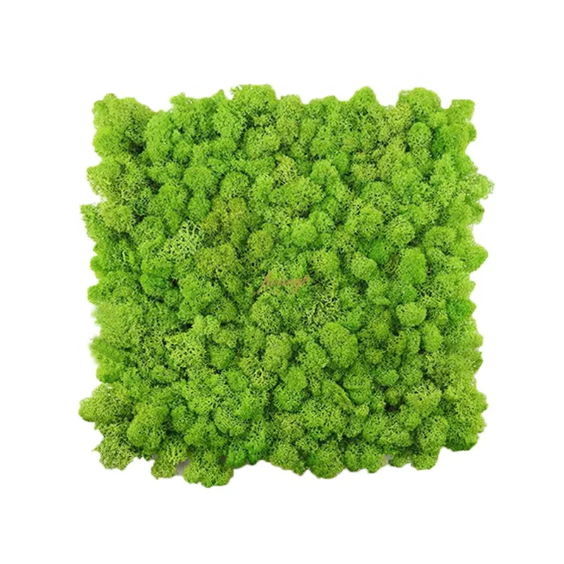 Декор внутренний дизайн олень стабилизированный мох домашний