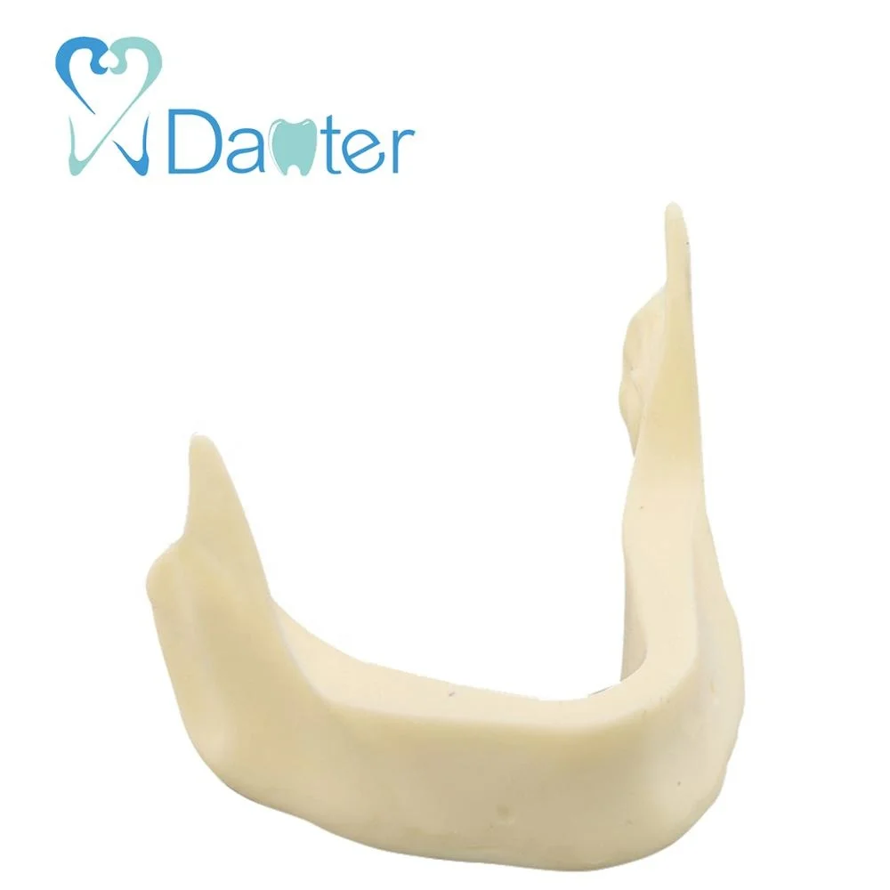 Высококачественная Стоматологическая модель с смолой и Подавляющими кости для студенческой