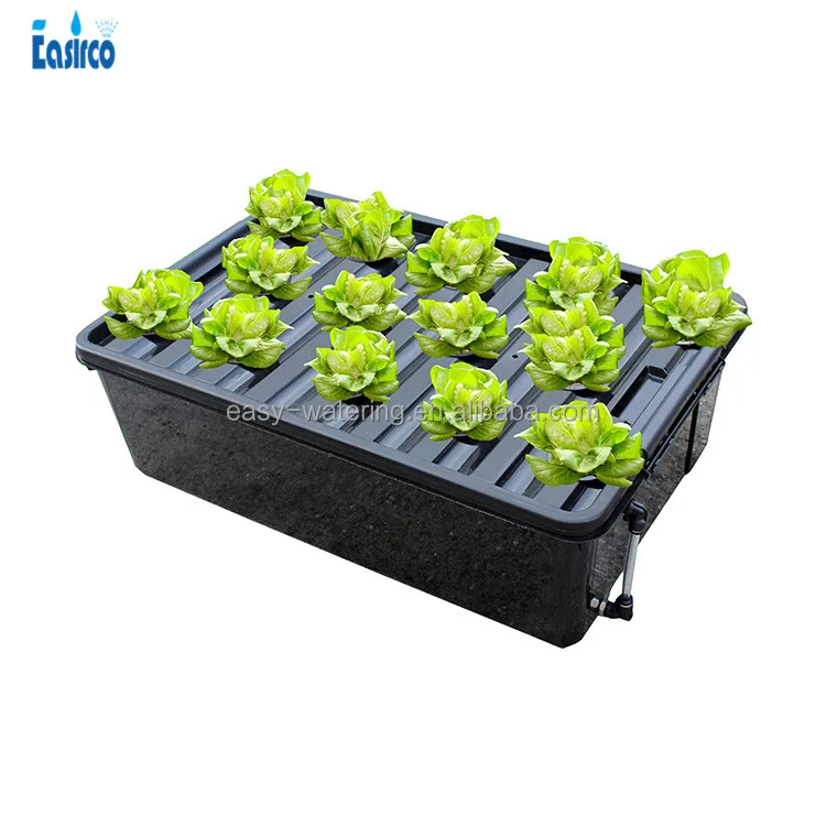 DWC  Propagation Seedling Trays Clones Equipment Hydroponics System