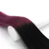 T1/Purple#