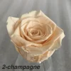 Champagne