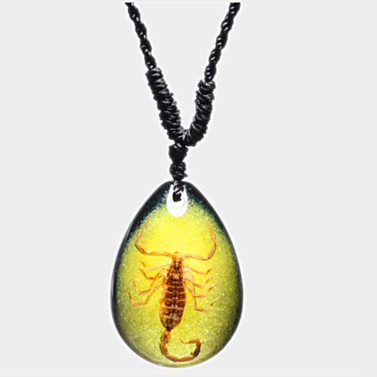 Scorpion in deals amber necklace