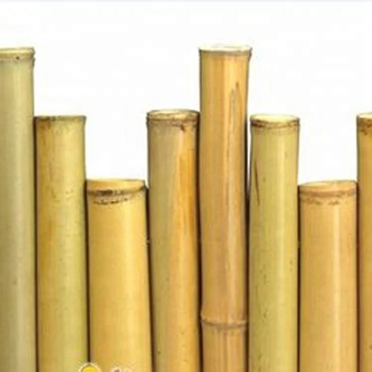 3 bamboo poles