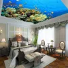 Ocean ceiling