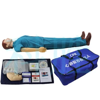 for sale Cheap medical teaching CPR manikin and first aid training dummy