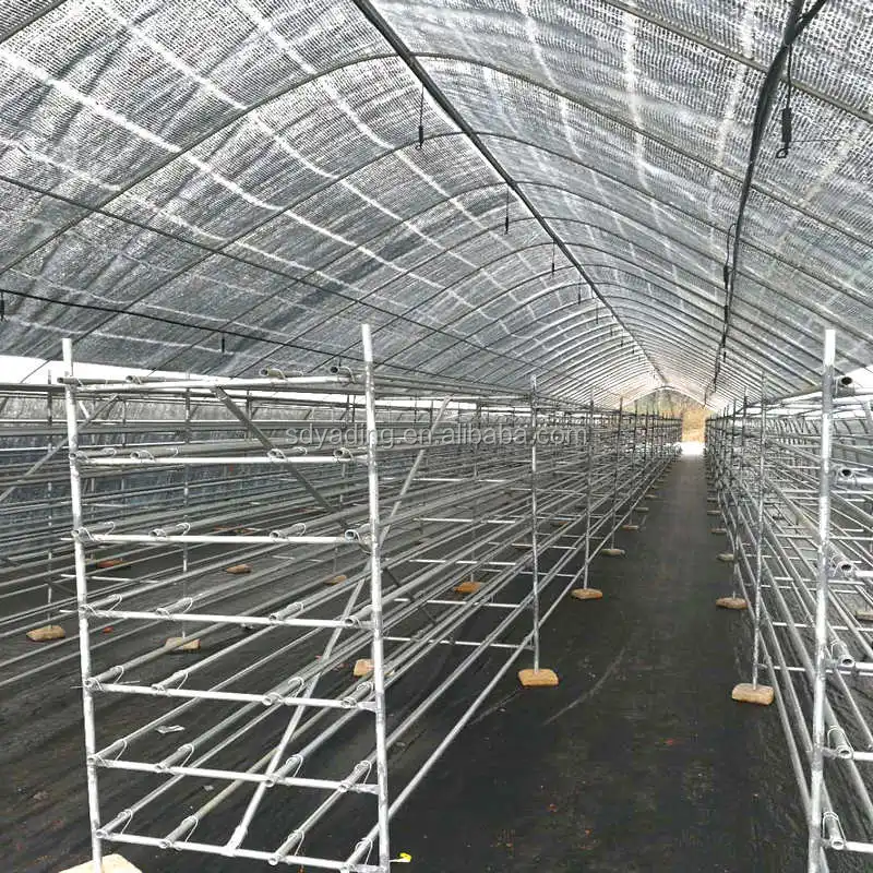 Cheap Modular Mushroom Greenhouse