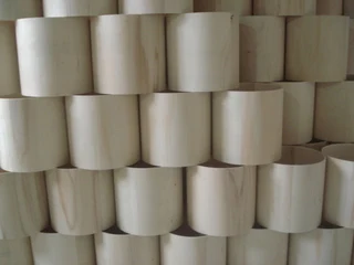 Tianjin Bowo Musical Instruments Co., Ltd. 3