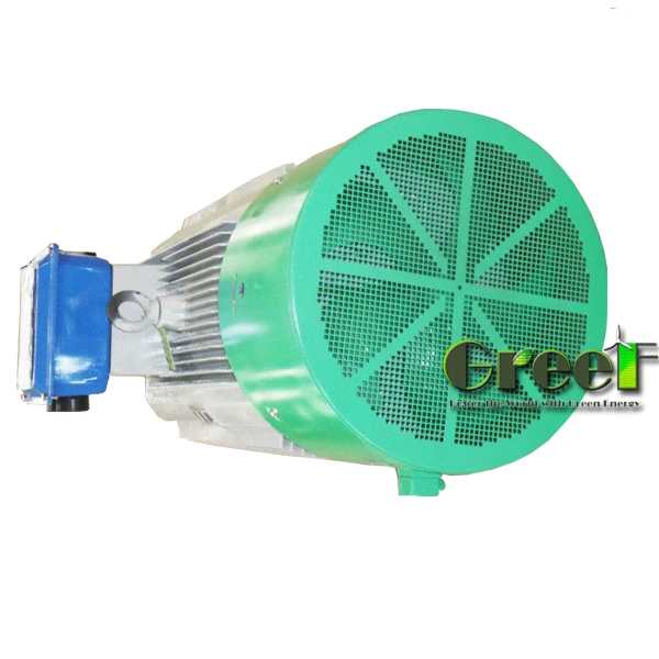 Generatore a Magneti Permanenti Alternatore Elettrico Trifase CA Forniture Industriali AVAN-300w(With Rectifier 12V