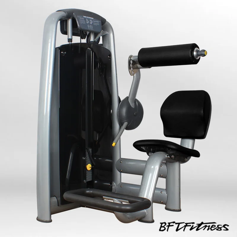 back exercise machine price