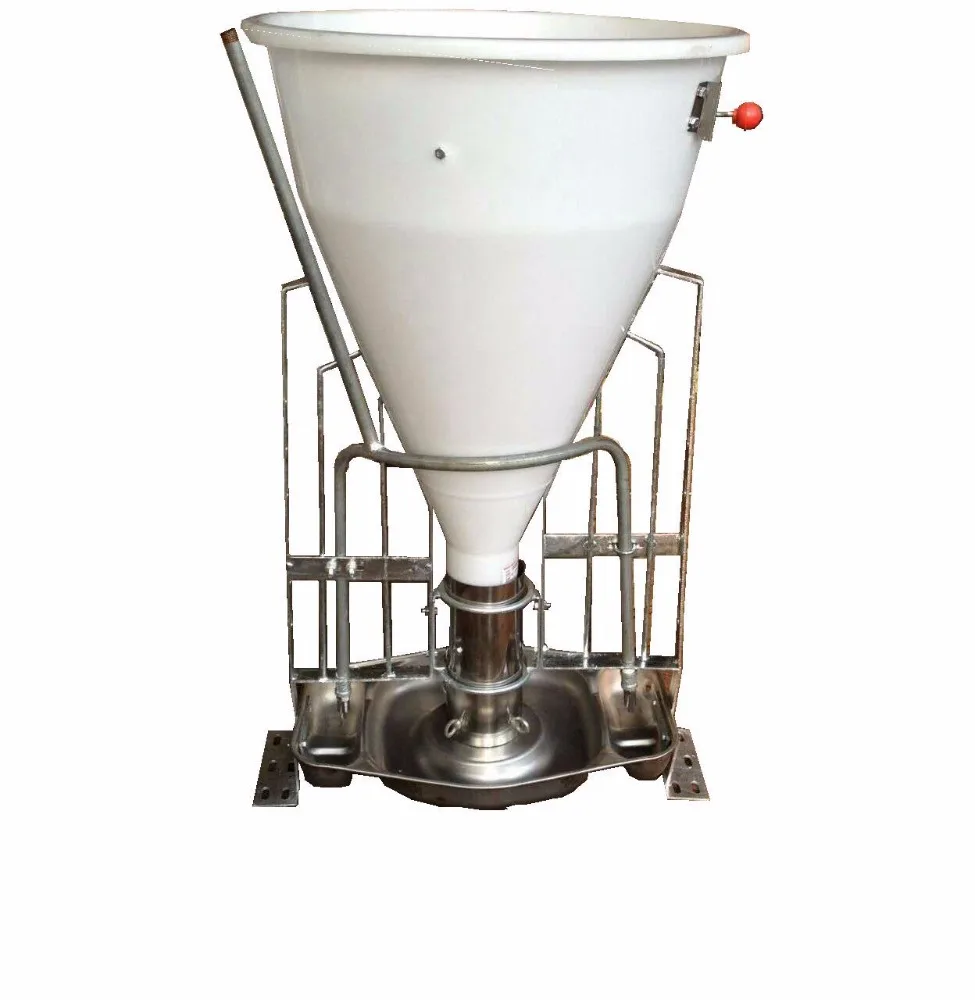 automatic pig feeder