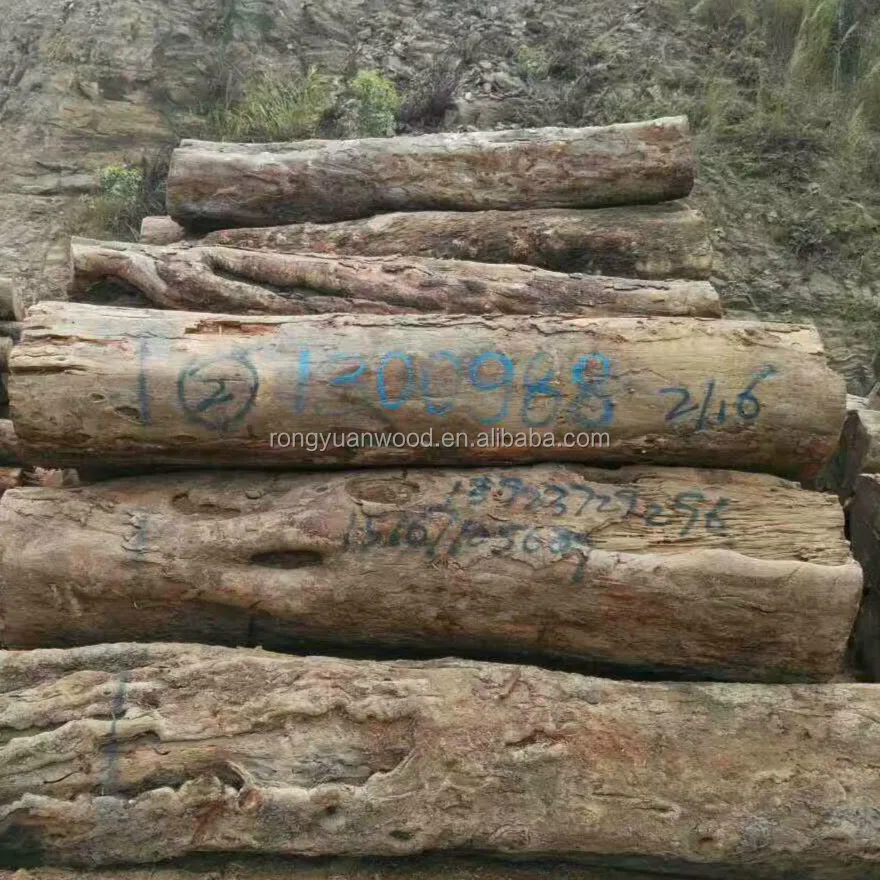 来自安哥拉的等级mussivi 广场原木和家具木材 Buy 热卖mussivi 广场日志 散装销售mussivi 广场和木材 散装销售和质量和便宜的mussivi 木材方形块和日志 来自安哥拉的等级mussivi 广场原木和家具木材 Buy 热卖mussivi 广场日志 散装销售mussivi 广场和木材 散装销售和质量和便宜的mussivi 木材方形块和日志