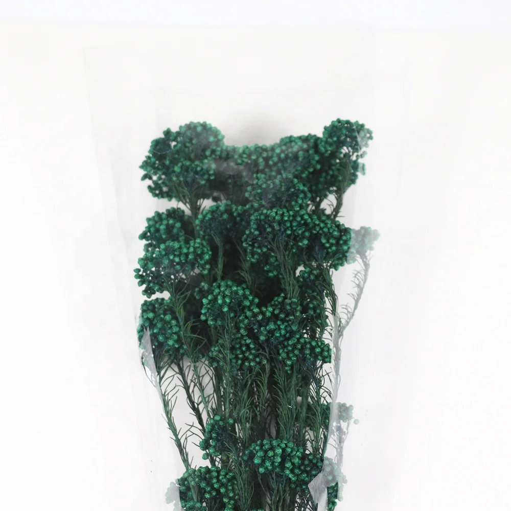 Source Factory Dried Rice Flowers for Home Decoration Dried Flowers Grass Decor Millet Flowers