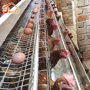 Buon prezzo strato automatico di uovo Pollo Fattoria galline ovaiole  pollame Gabbie della batteria - Cina Gabbia di gallina, gabbia di pollo a  strati