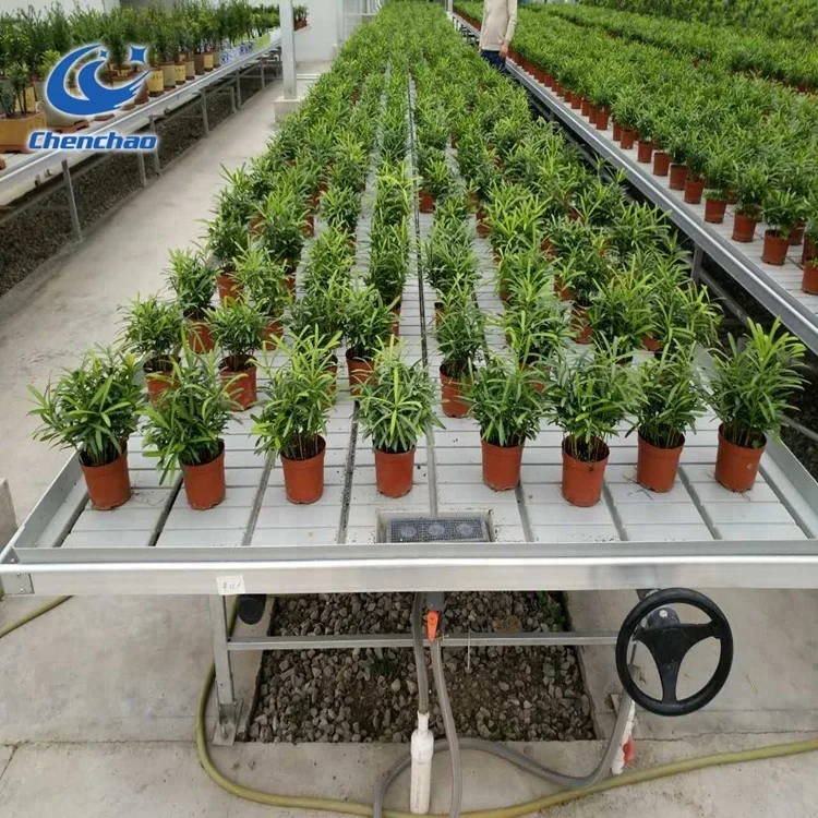 ebb and flow tables growing greenhouse benches hydroponic flood tray