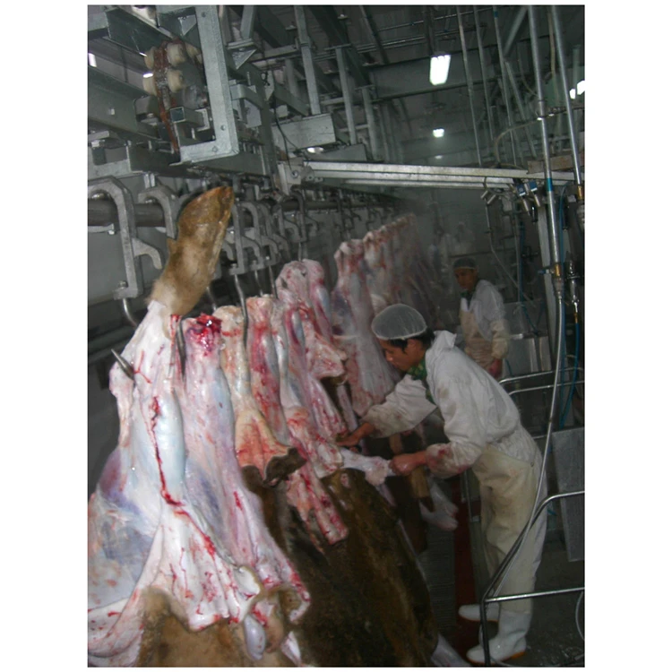 Halal meat slaughtering machinery camel slaughterhouse craft