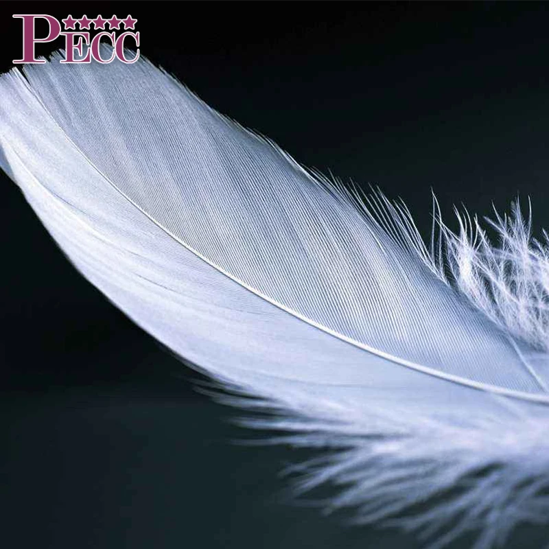 Высокое качество вниз вставки персонализированные подушки на заказ