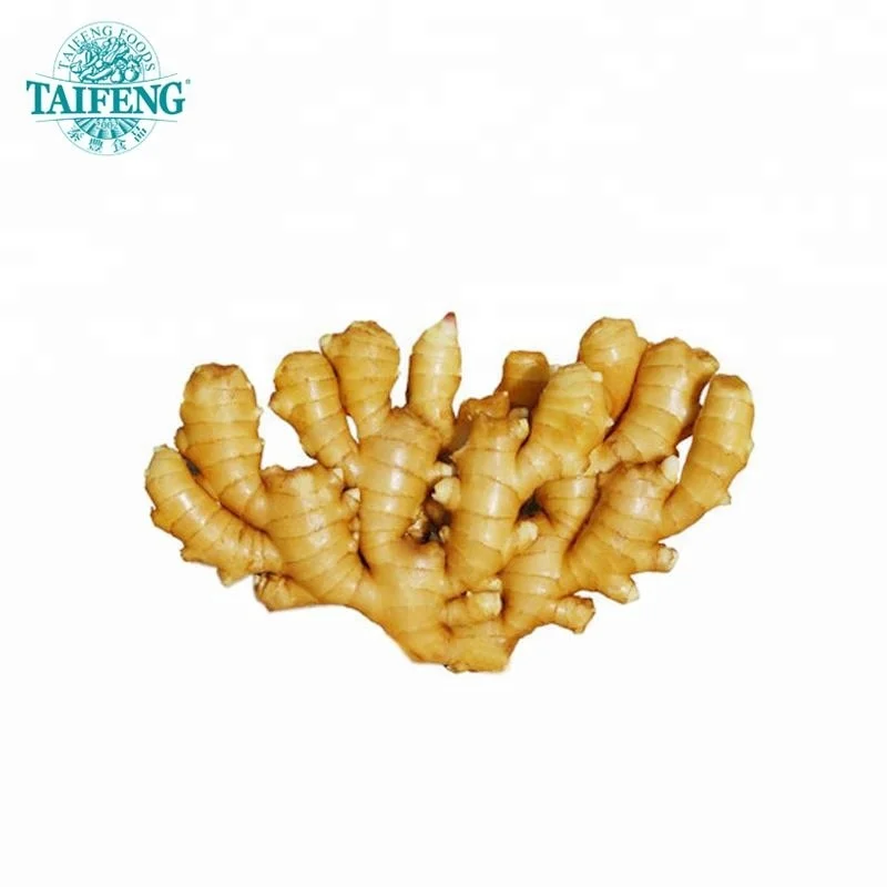 2018 fresh shandong ginger bargain Taifeng brand