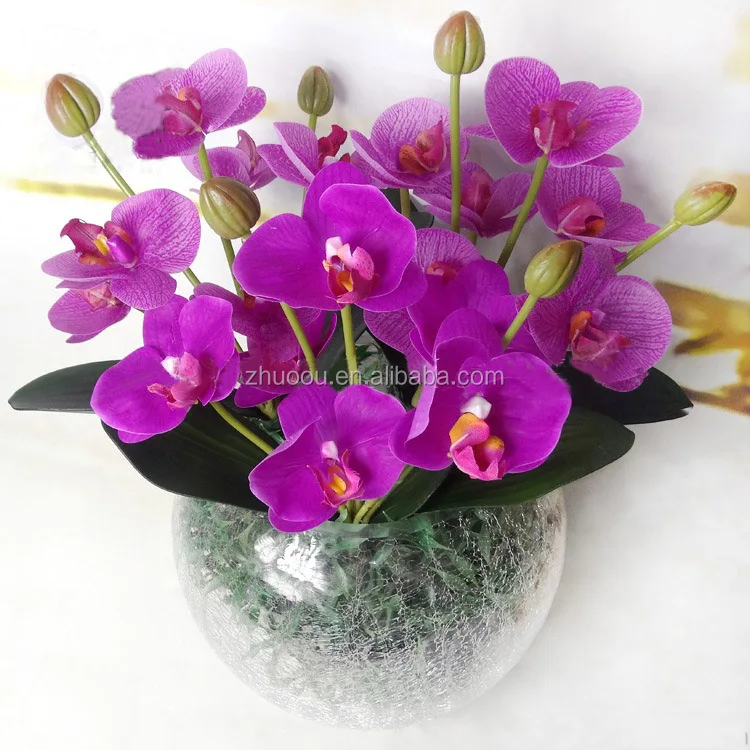 Yiwu Factory Supply 8 Forks Real Touch Latex Blue Purple Flower Bouquet Orchids For Sale Buy Purple Blue Orchids Flower Bouquet Real Touch Blue Orchid Product On Alibaba Com